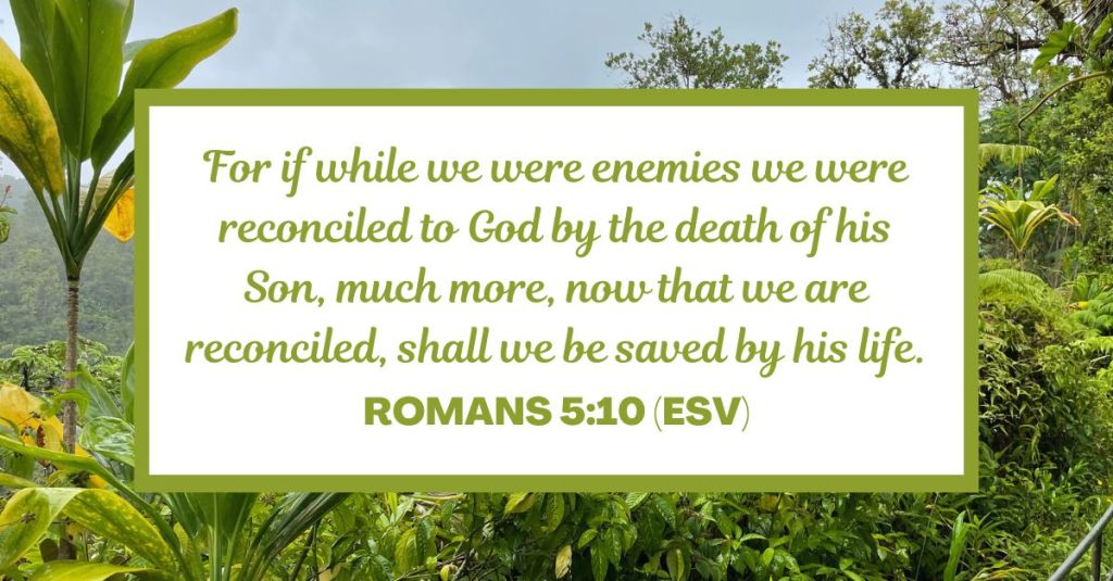 For if while we were enemies we were reconciled to God by the death of his Son, much more, now that we are reconciled, shall we be saved by his life. - Romans 5:10 (ESV)