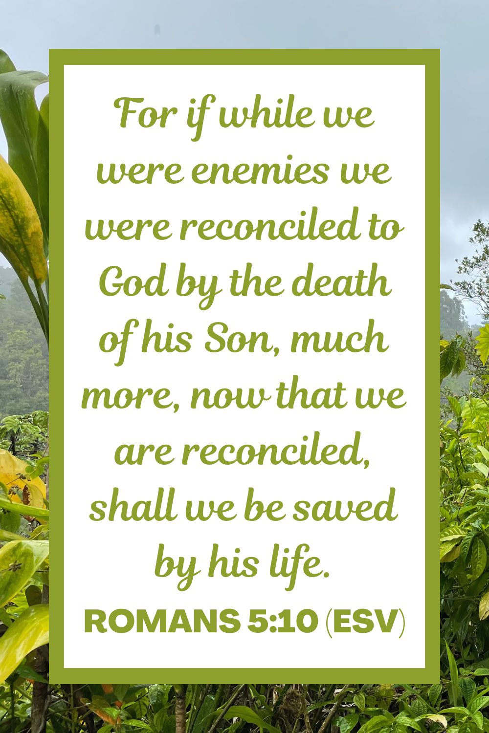 For if while we were enemies we were reconciled to God by the death of his Son, much more, now that we are reconciled, shall we be saved by his life. - Romans 5:10 (ESV)