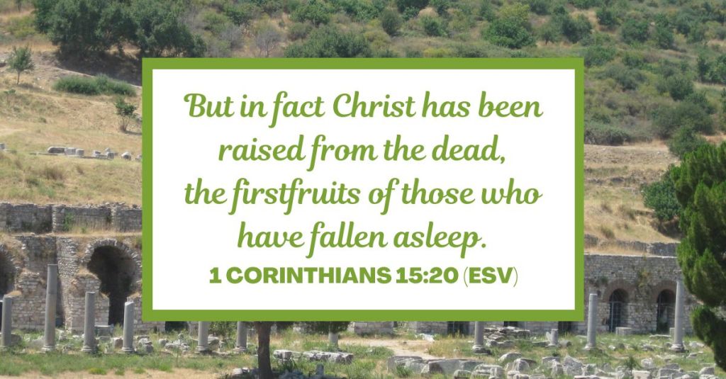 But in fact Christ has been raised from the dead, the firstfruits of those who have fallen asleep. - 1 Corinthians 15:20 (ESV)