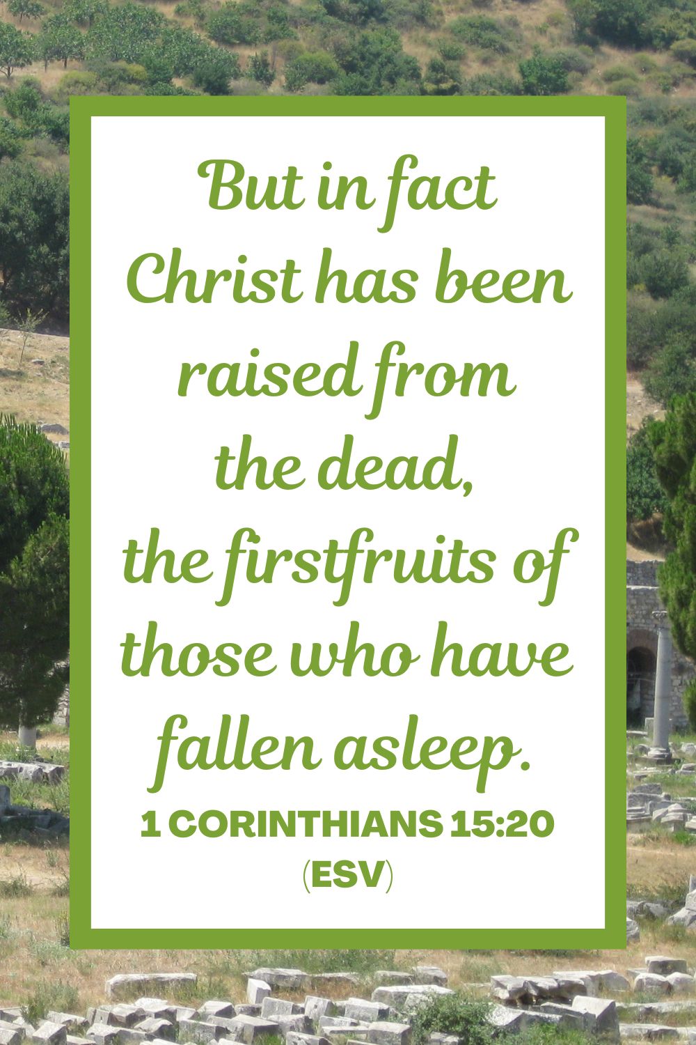 But in fact Christ has been raised from the dead, the firstfruits of those who have fallen asleep. - 1 Corinthians 15:20 (ESV)
