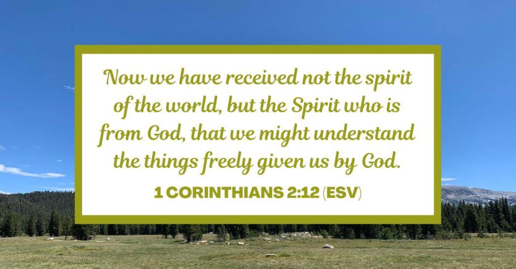 Now we have received not the spirit of the world, but the Spirit who is from God, that we might understand the things freely given us by God. - 1 Corinthians 2:12 (ESV)