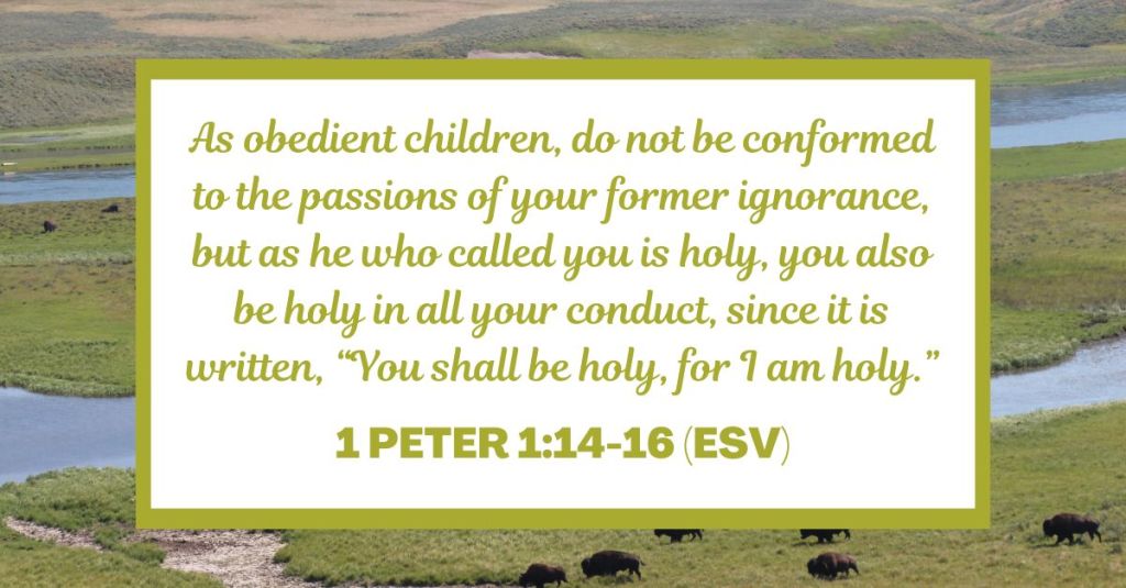 As obedient children, do not be conformed to the passions of your former ignorance, but as he who called you is holy, you also be holy in all your conduct, since it is written, “You shall be holy, for I am holy.” - 1 Peter 1:14-16 (ESV)
