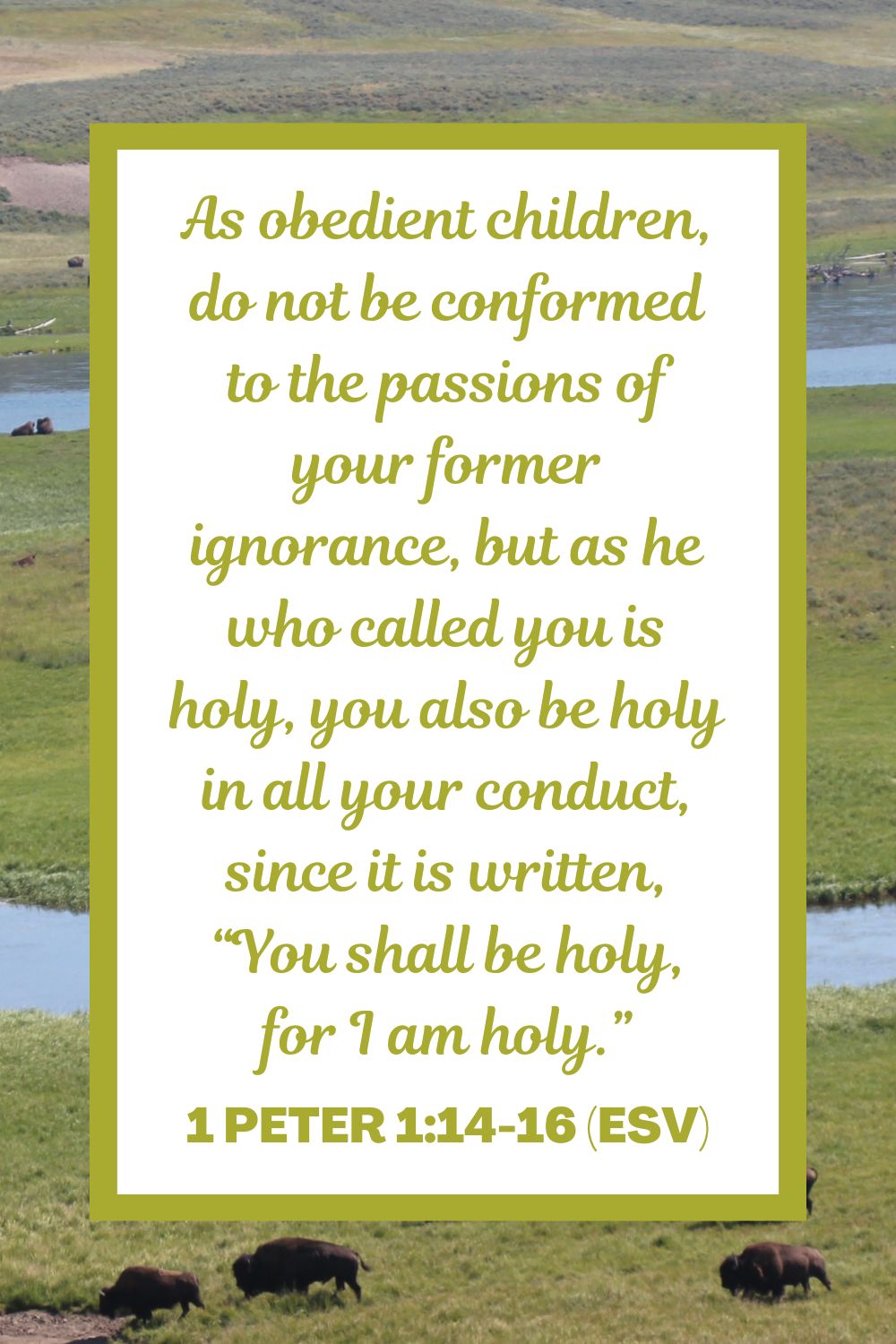As obedient children, do not be conformed to the passions of your former ignorance, but as he who called you is holy, you also be holy in all your conduct, since it is written, “You shall be holy, for I am holy.” - 1 Peter 1:14-16 (ESV)