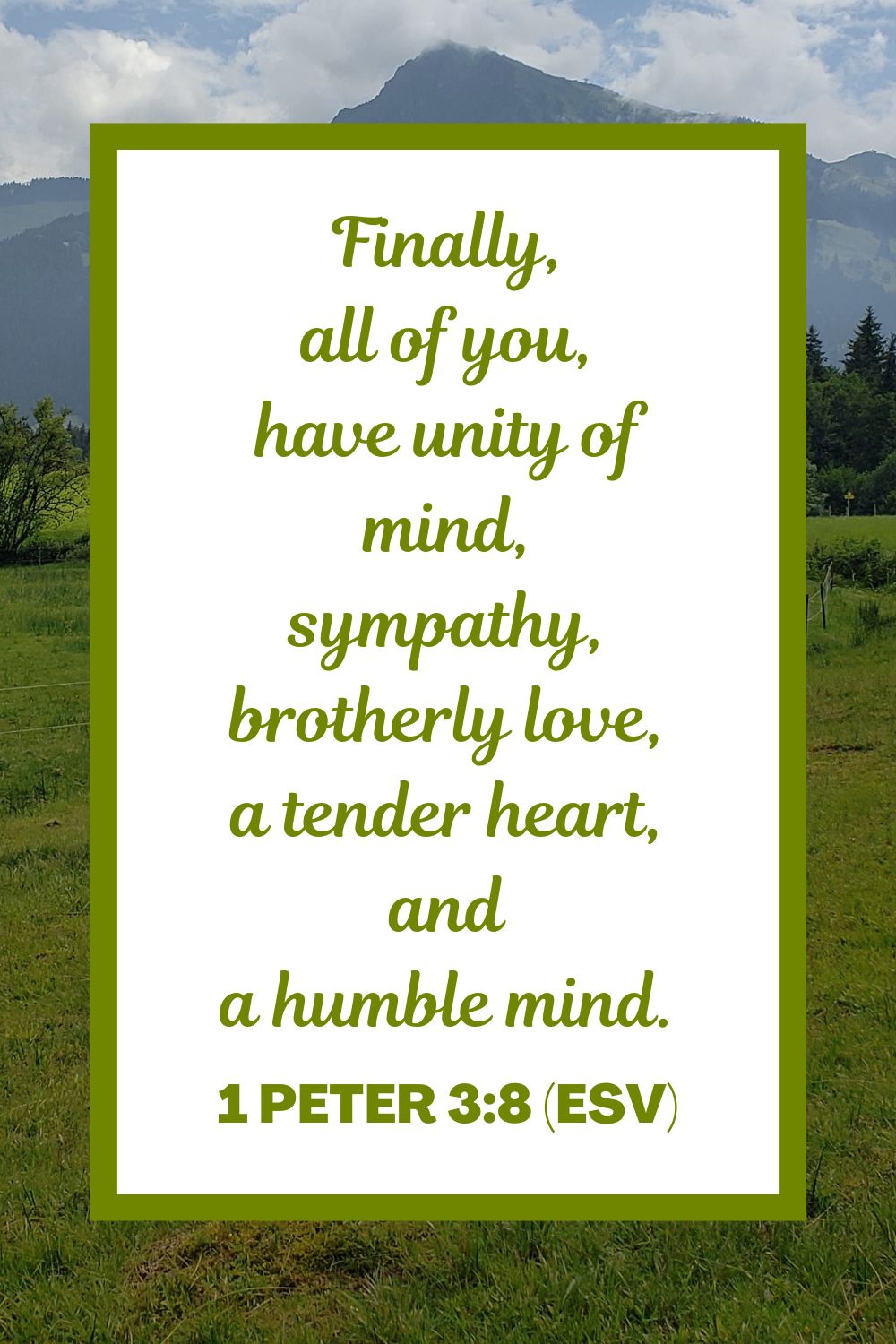 Finally, all of you, have unity of mind, sympathy, brotherly love, a tender heart, and a humble mind. - 1 Peter 3:8 (ESV)