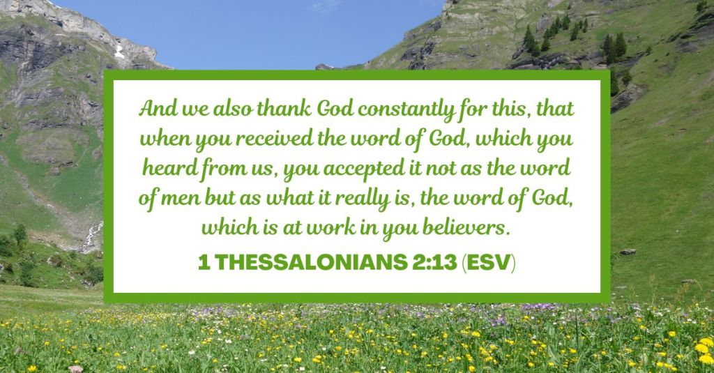 And we also thank God constantly for this, that when you received the word of God, which you heard from us, you accepted it not as the word of men but as what it really is, the word of God, which is at work in you believers. - 1 Thessalonians 2:13 (ESV)