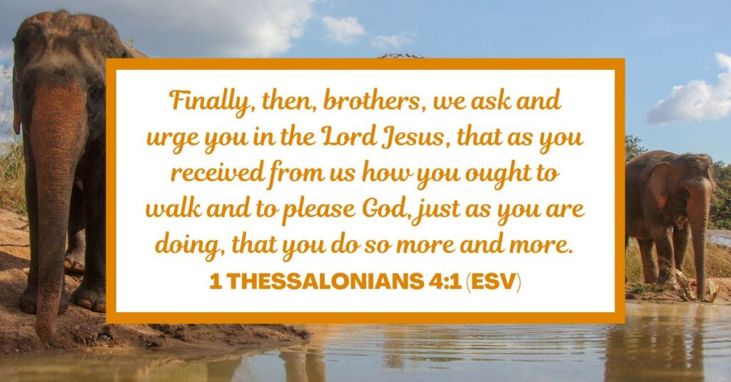 Finally, then, brothers, we ask and urge you in the Lord Jesus, that as you received from us how you ought to walk and to please God, just as you are doing, that you do so more and more. - 1 Thessalonians 4:1 (ESV)