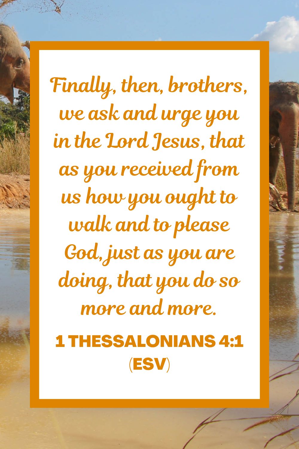 Finally, then, brothers, we ask and urge you in the Lord Jesus, that as you received from us how you ought to walk and to please God, just as you are doing, that you do so more and more. - 1 Thessalonians 4:1 (ESV)