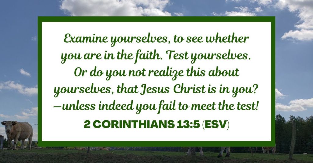 Examine yourselves, to see whether you are in the faith. Test yourselves. Or do you not realize this about yourselves, that Jesus Christ is in you?—unless indeed you fail to meet the test! - 2 Corinthians 13:5 (ESV)
