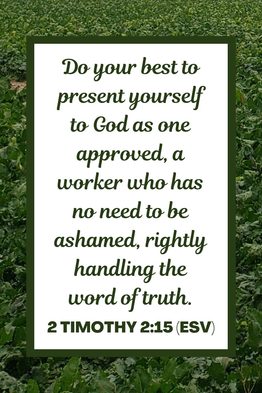 Do your best to present yourself to God as one approved, a worker who has no need to be ashamed, rightly handling the word of truth. - 2 Timothy 2:15 (ESV)