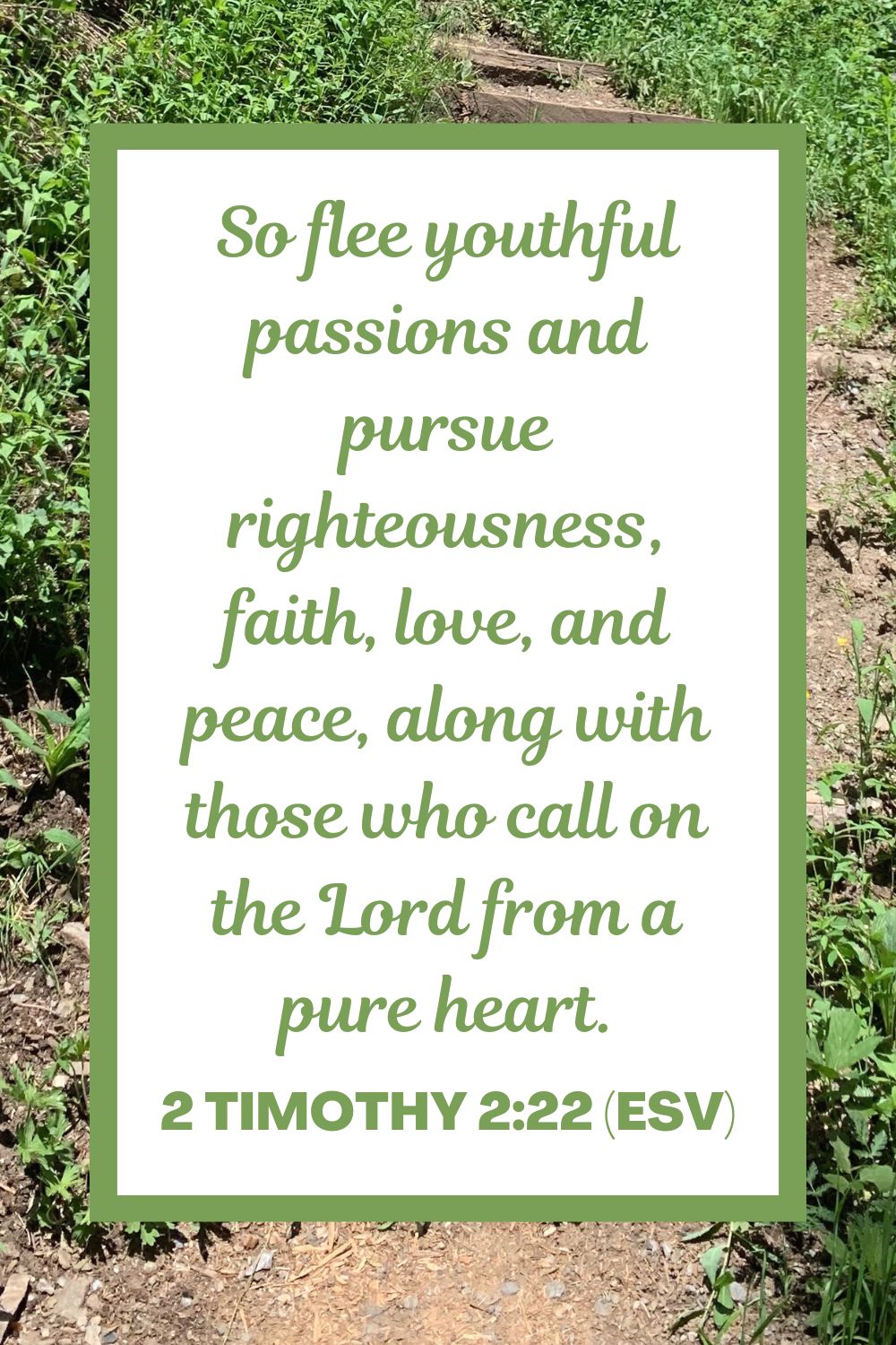 So flee youthful passions and pursue righteousness, faith, love, and peace, along with those who call on the Lord from a pure heart. - 2 Timothy 2:22 (ESV)