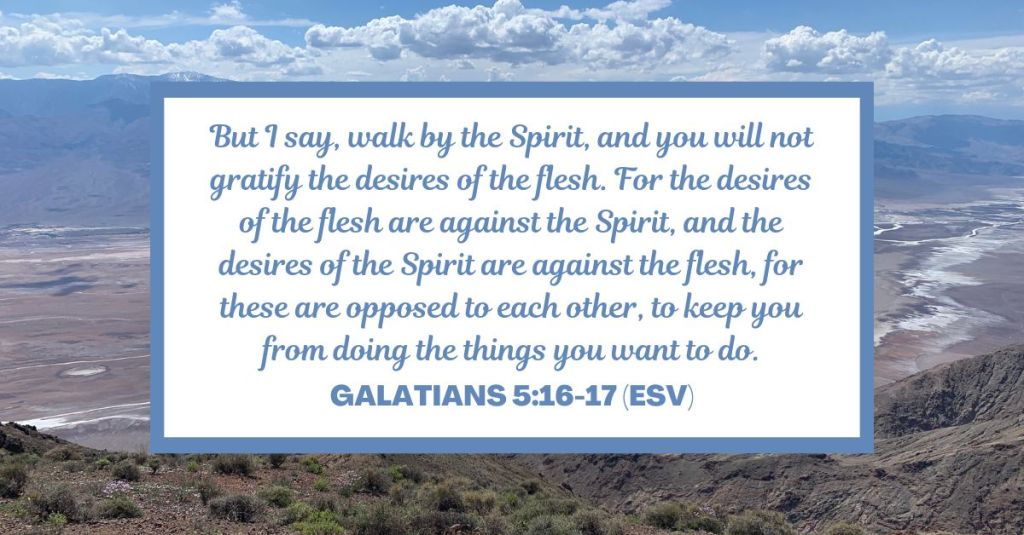 But I say, walk by the Spirit, and you will not gratify the desires of the flesh. For the desires of the flesh are against the Spirit, and the desires of the Spirit are against the flesh, for these are opposed to each other, to keep you from doing the things you want to do. - Galatians 5:16-17 (ESV)