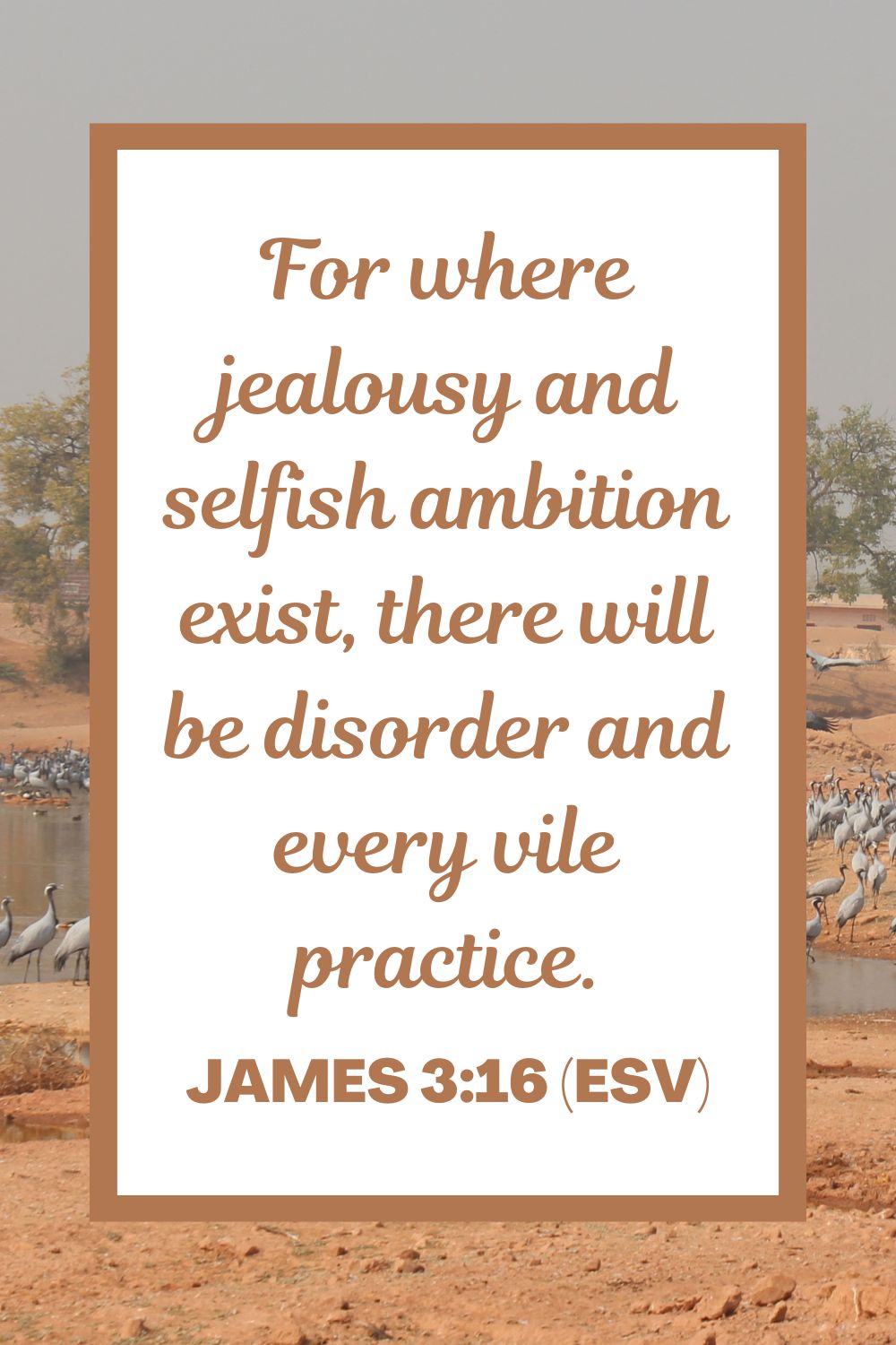 For where jealousy and selfish ambition exist, there will be disorder and every vile practice. - James 3:16 (ESV)