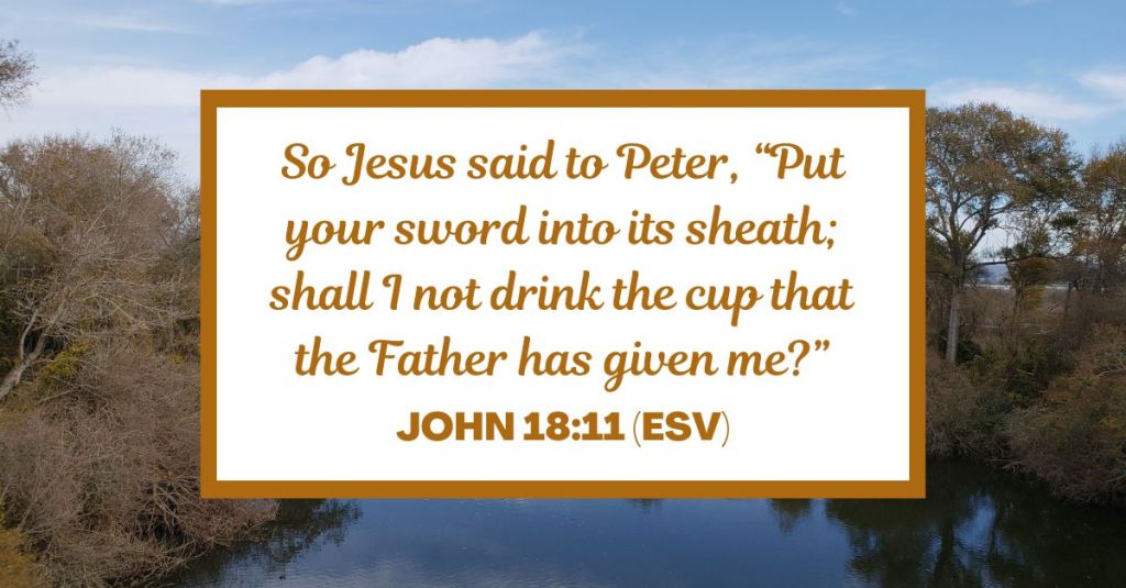 So Jesus said to Peter, “Put your sword into its sheath; shall I not drink the cup that the Father has given me?” - John 18:11 (ESV)