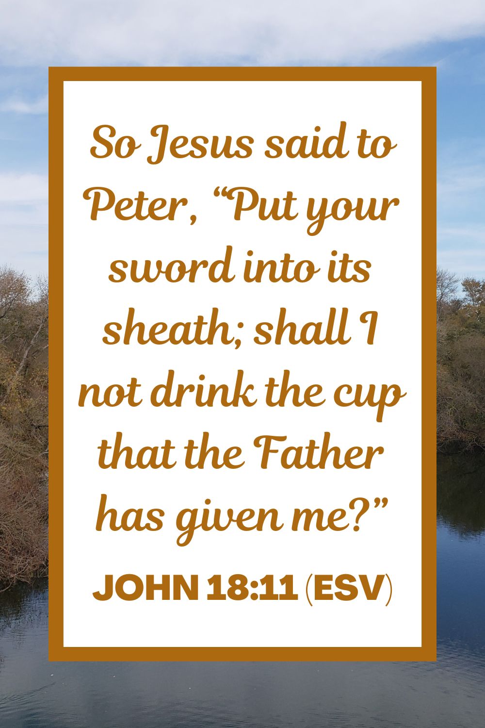 So Jesus said to Peter, “Put your sword into its sheath; shall I not drink the cup that the Father has given me?” - John 18:11 (ESV)