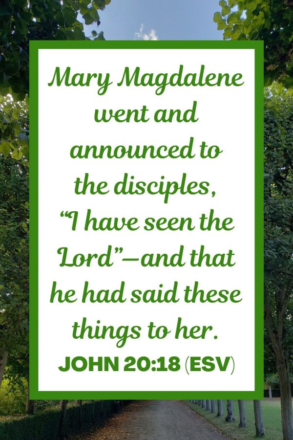 Read the New Testament in a Year: Week 22 – John 18-21 and 1 ...