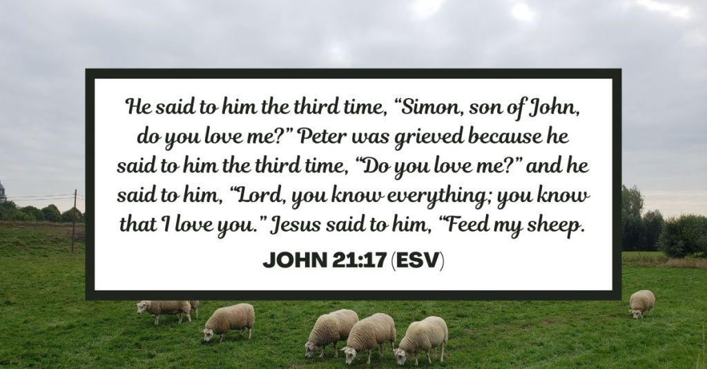 He said to him the third time, “Simon, son of John, do you love me?” Peter was grieved because he said to him the third time, “Do you love me?” and he said to him, “Lord, you know everything; you know that I love you.” Jesus said to him, “Feed my sheep. - John 21:17 (ESV)