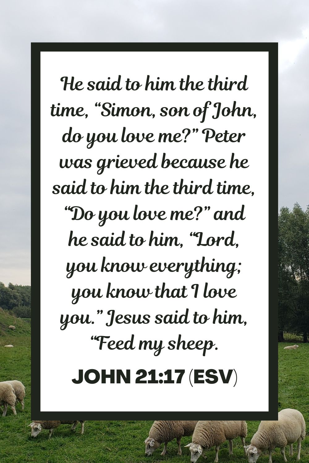 He said to him the third time, “Simon, son of John, do you love me?” Peter was grieved because he said to him the third time, “Do you love me?” and he said to him, “Lord, you know everything; you know that I love you.” Jesus said to him, “Feed my sheep. - John 21:17 (ESV)