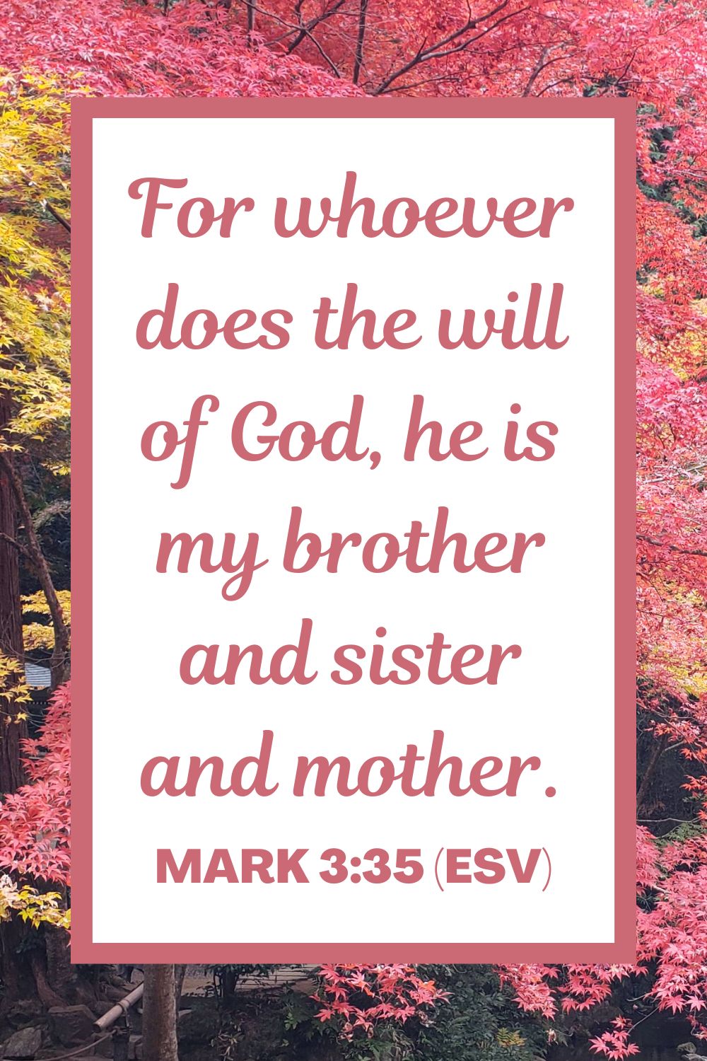 For whoever does the will of God, he is my brother and sister and mother. - Mark 3:35 (ESV)
