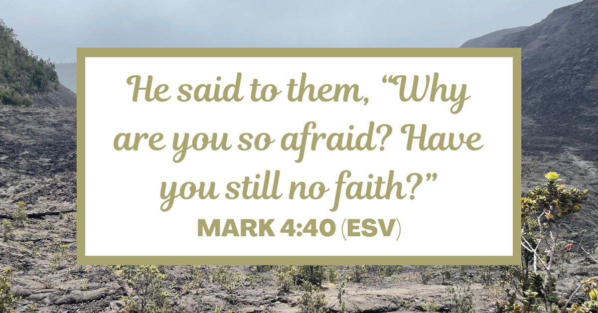 He said to them, “Why are you so afraid? Have you still no faith?” - Mark 4:40 (ESV)
