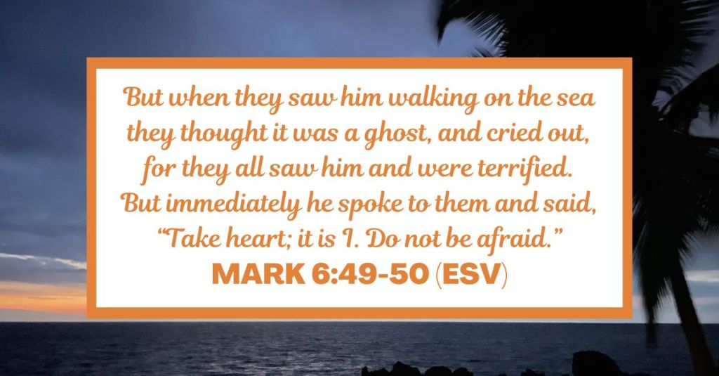 But when they saw him walking on the sea they thought it was a ghost, and cried out, for they all saw him and were terrified. But immediately he spoke to them and said, “Take heart; it is I. Do not be afraid.” - Mark 6:49-50 (ESV)