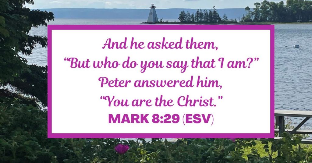 And he asked them, “But who do you say that I am?” Peter answered him, “You are the Christ.” - Mark 8:29 (ESV)