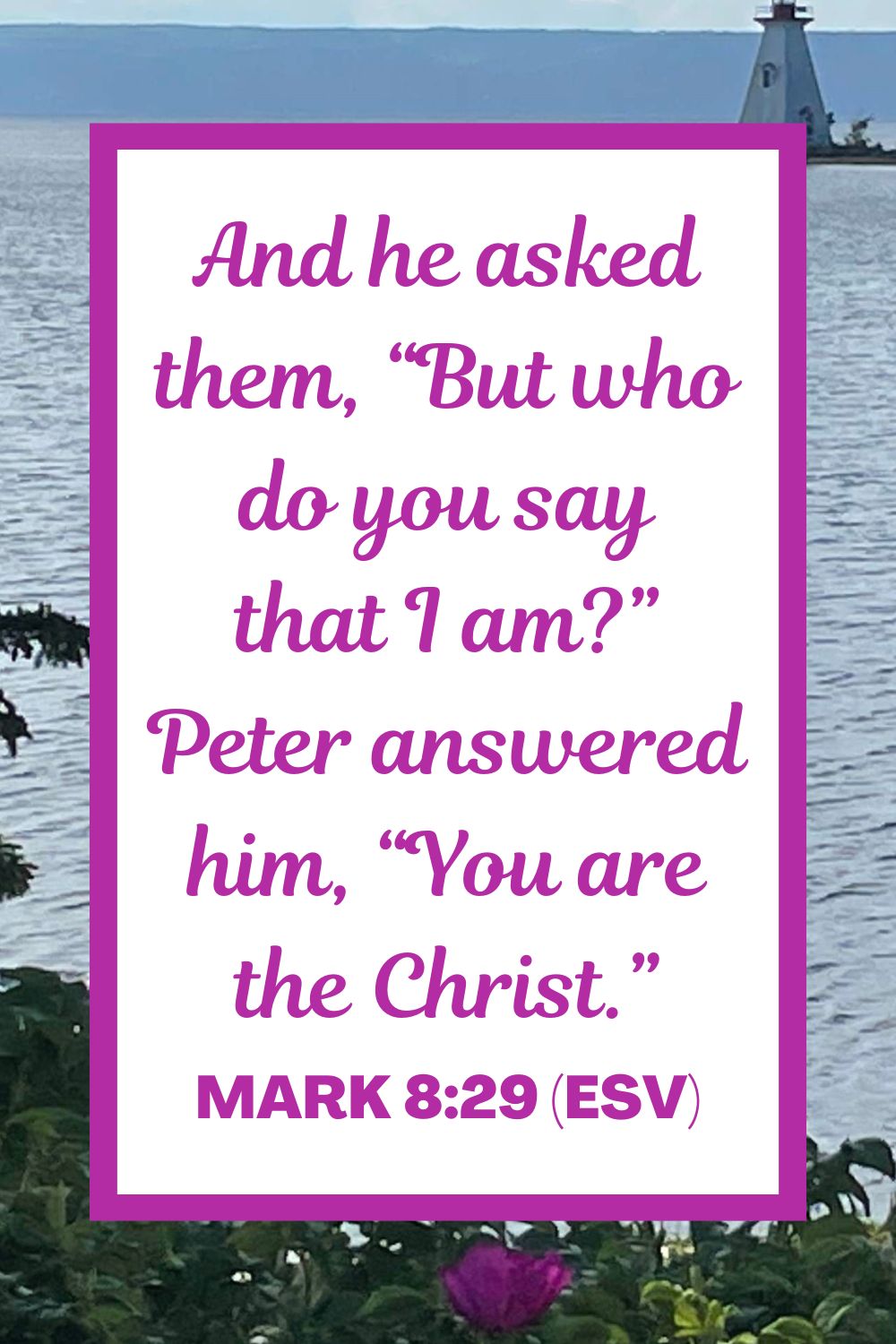 And he asked them, “But who do you say that I am?” Peter answered him, “You are the Christ.” - Mark 8:29 (ESV)