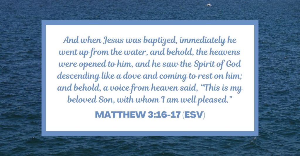 And when Jesus was baptized, immediately he went up from the water, and behold, the heavens were opened to him, and he saw the Spirit of God descending like a dove and coming to rest on him; and behold, a voice from heaven said, “This is my beloved Son, with whom I am well pleased.” - Matthew 3:16-17 (ESV)