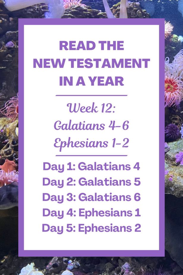 Read the New Testament in a Year: Week 12 - Galatians 4-6 and Ephesians 1-2