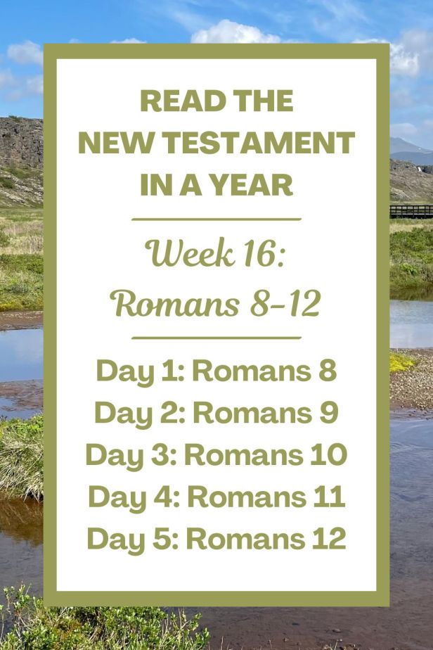 Read the New Testament in a Year: Week 16 - Romans 8-12