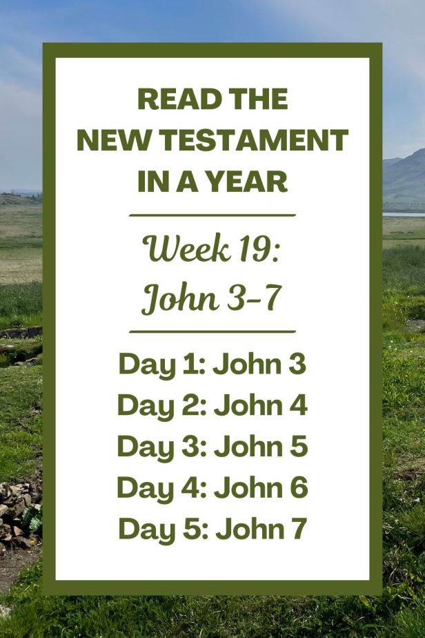 Read the New Testament in a Year: Week 19 - The Gospel of John Chapters 3-7