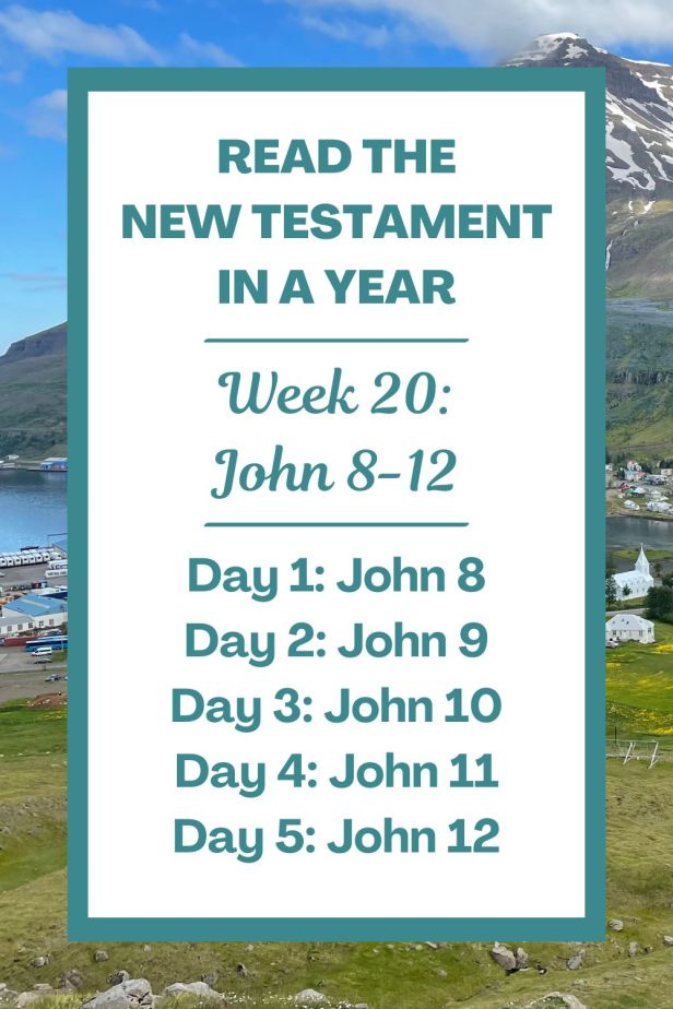 Read the New Testament in a Year: Week 20 - The Gospel of John Chapters 8-12