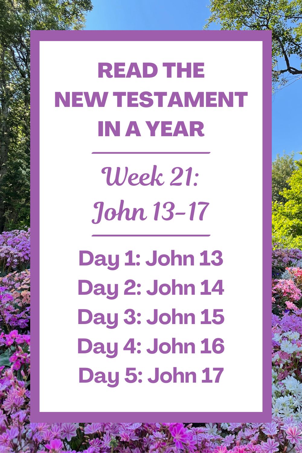 Read the New Testament in a Year: Week 21 - The Gospel of John Chapters 13-17