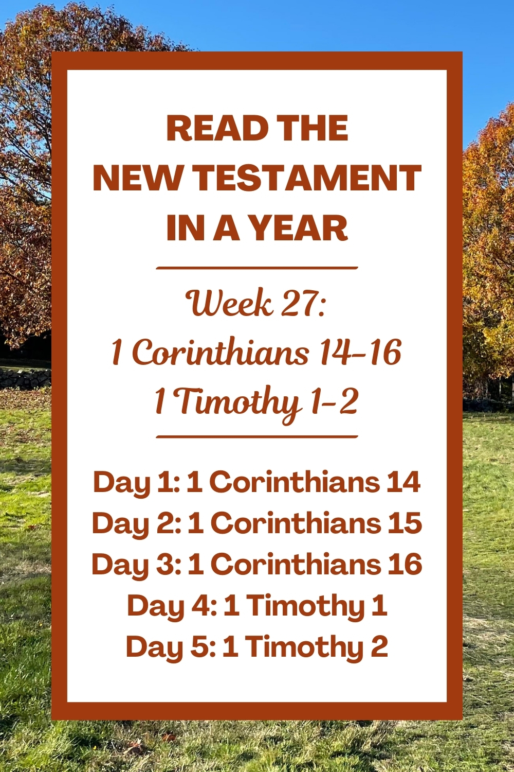 Read the New Testament in a Year: Week 27 - 1 Corinthians 14-16 and 1 Timothy 1-2