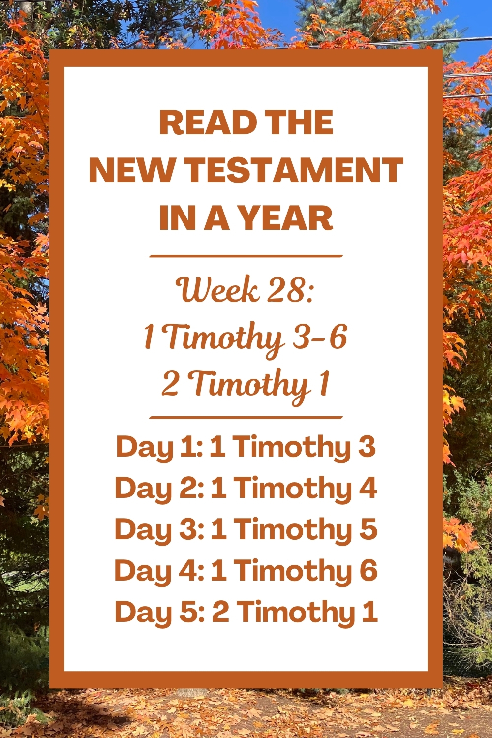 Read the New Testament in a Year: Week 28 - 1 Timothy 3-6 and 2 Timothy 1
