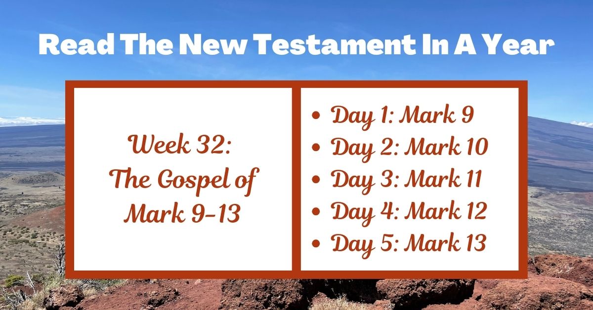 Read the New Testament in a Year: Week 32 – Mark&nbsp;9-13
