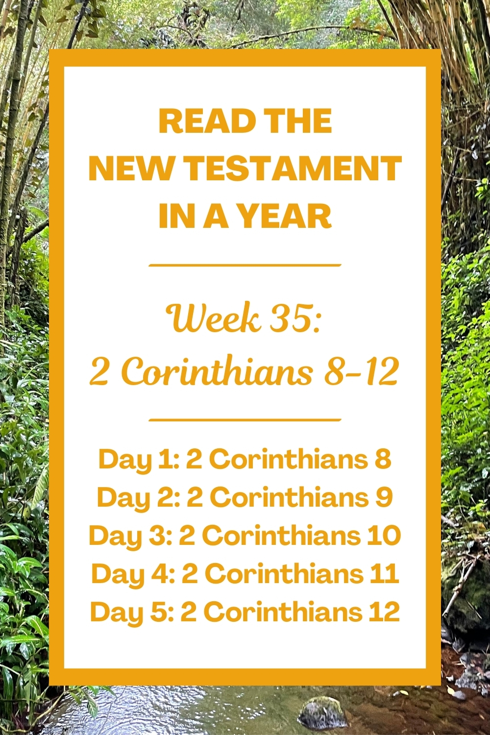 Read the New Testament in a Year: Week 35 - 2 Corinthians 8-12