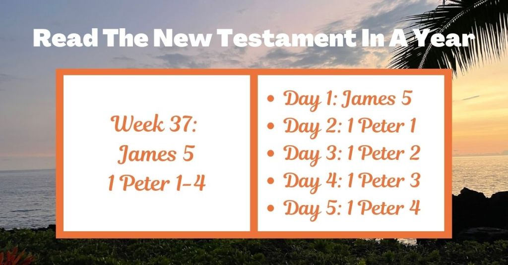 Read the New Testament in a Year: Week 37 – James 5 and 1 Peter&nbsp;1-4