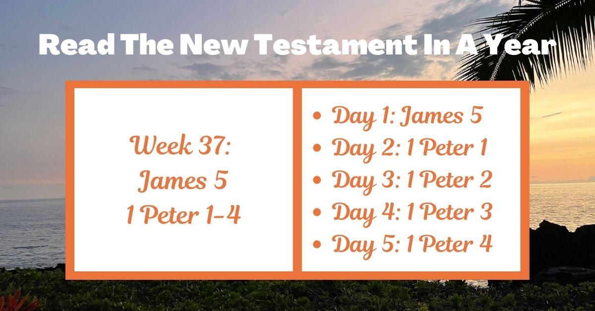 Read the New Testament in a Year: Week 37 – James 5 and 1 Peter&nbsp;1-4