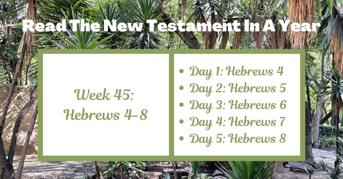 Read the New Testament in a Year: Week 45 – Hebrews&nbsp;4-8
