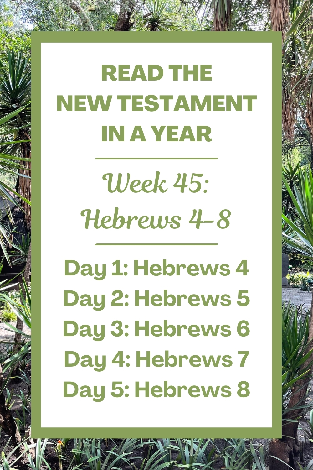 Read the New Testament in a Year: Week 45 - Hebrews 4-8