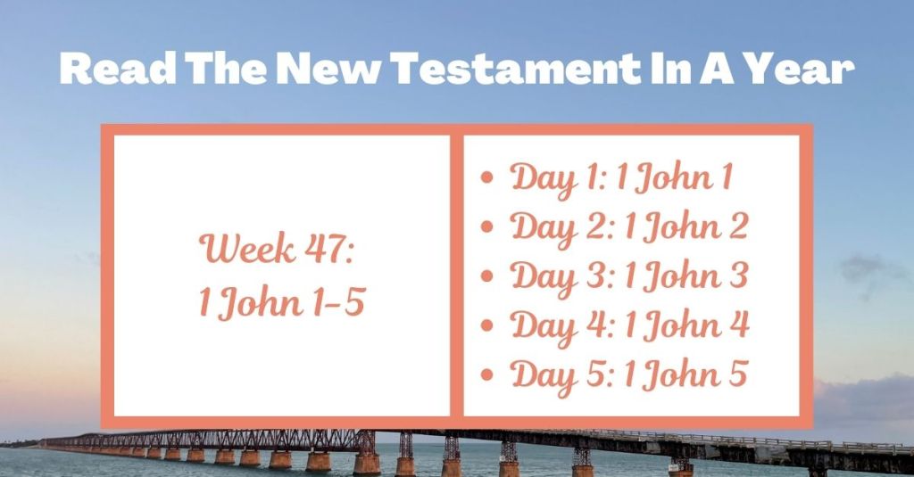 Read the New Testament in a Year: Week 47 – 1 John&nbsp;1-5