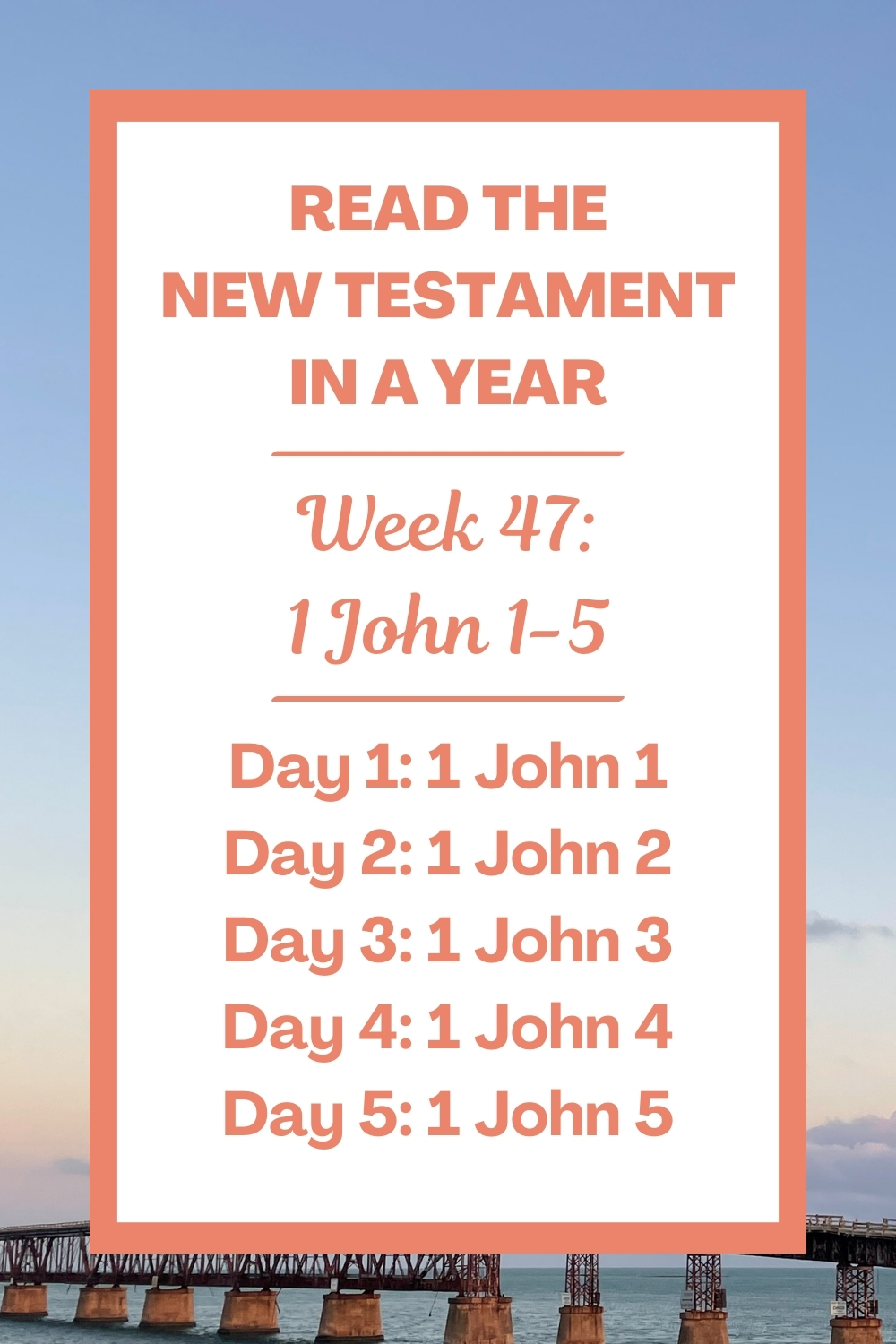 Read the New Testament in a Year: Week 47 - 1 John 1-5
