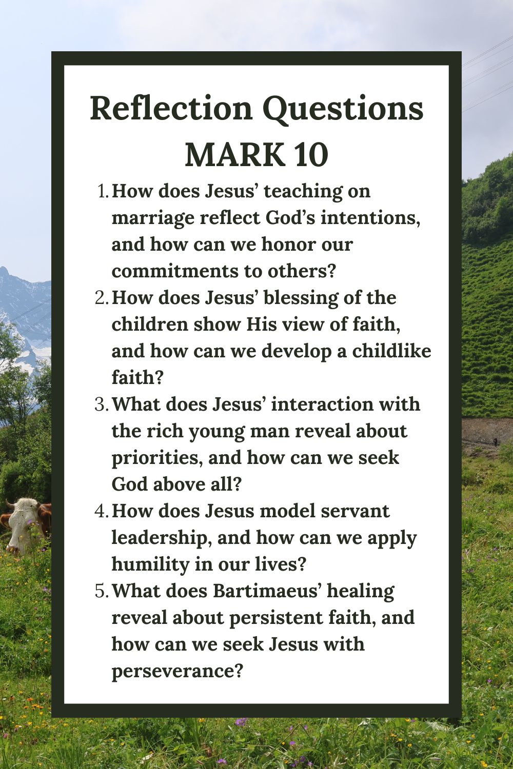 Reflection Questions for Mark 10