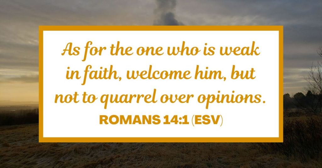 As for the one who is weak in faith, welcome him, but not to quarrel over opinions. - Romans 14:1 (ESV)