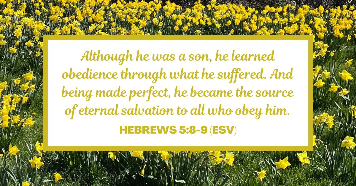 Hebrews 5:8-9 (ESV): Although he was a son, he learned obedience through what he suffered. And being made perfect, he became the source of eternal salvation to all who obey him.