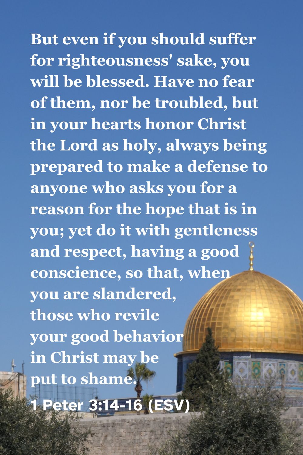 1 Peter 3:14-16 (ESV): But even if you should suffer for righteousness' sake, you will be blessed. Have no fear of them, nor be troubled, but in your hearts honor Christ the Lord as holy, always being prepared to make a defense to anyone who asks you for a reason for the hope that is in you; yet do it with gentleness and respect, having a good conscience, so that, when you are slandered, those who revile your good behavior in Christ may be put to shame.