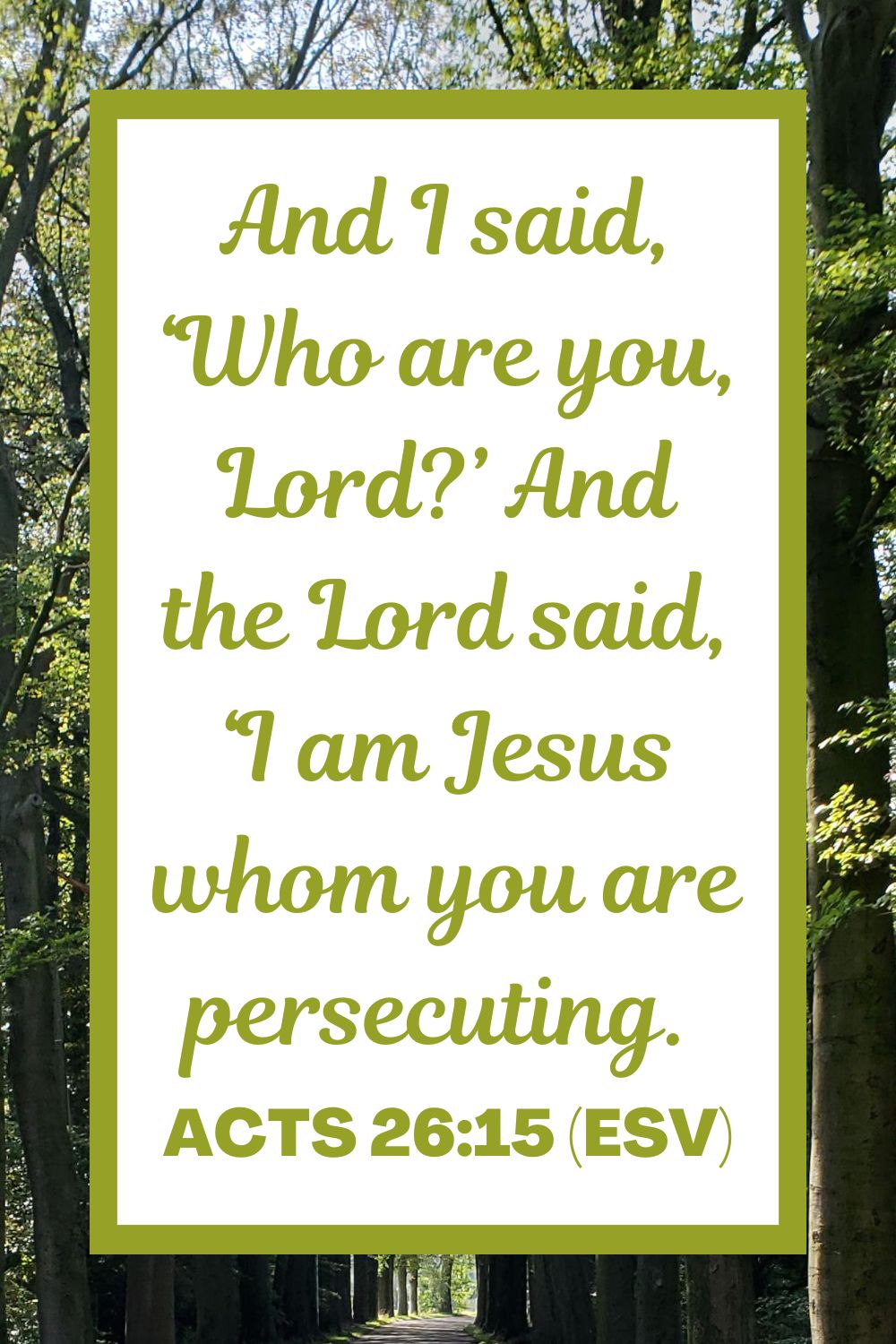 Acts 26:15 (ESV): And I said, ‘Who are you, Lord?’ And the Lord said, ‘I am Jesus whom you are persecuting.