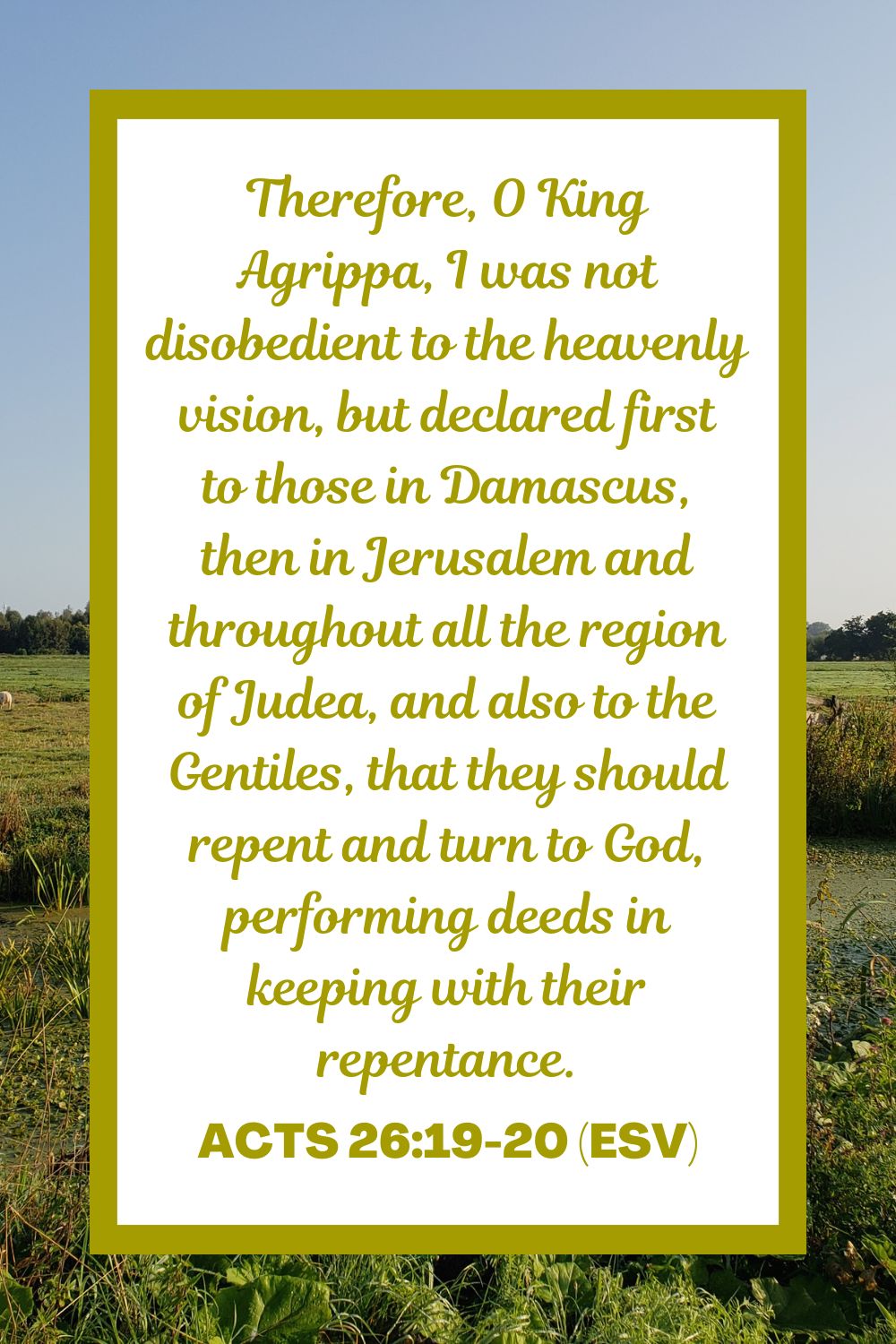 Acts 26:19-20 (ESV): Therefore, O King Agrippa, I was not disobedient to the heavenly vision, but declared first to those in Damascus, then in Jerusalem and throughout all the region of Judea, and also to the Gentiles, that they should repent and turn to God, performing deeds in keeping with their repentance.