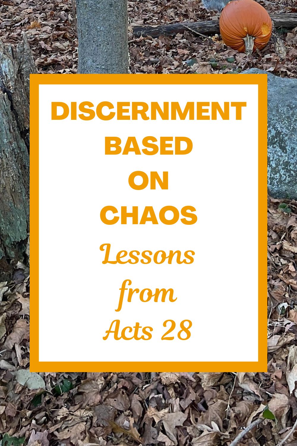 Discernment Based on Chaos: Lessons from Acts 28