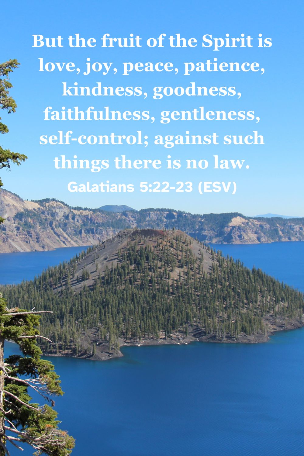 Galatians 5:22-23 (ESV): "But the fruit of the Spirit is love, joy, peace, patience, kindness, goodness, faithfulness, gentleness, self-control; against such things there is no law."